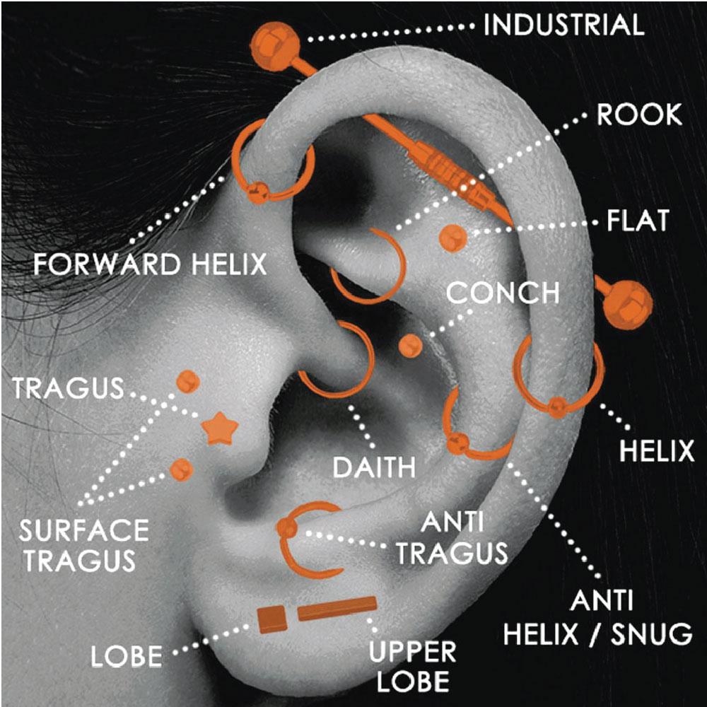 Gauge of hot sale tragus piercing